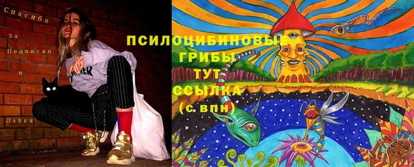 jwh Абаза
