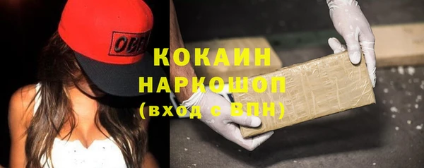 ешки Алзамай